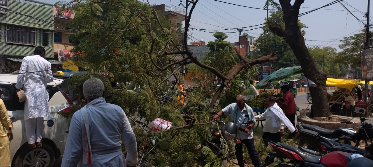 खलीलाबाद चौराहे पर सूखी टहनी गिरने से मची अफरा-तफरी, होते-होते बची बड़ी घटना