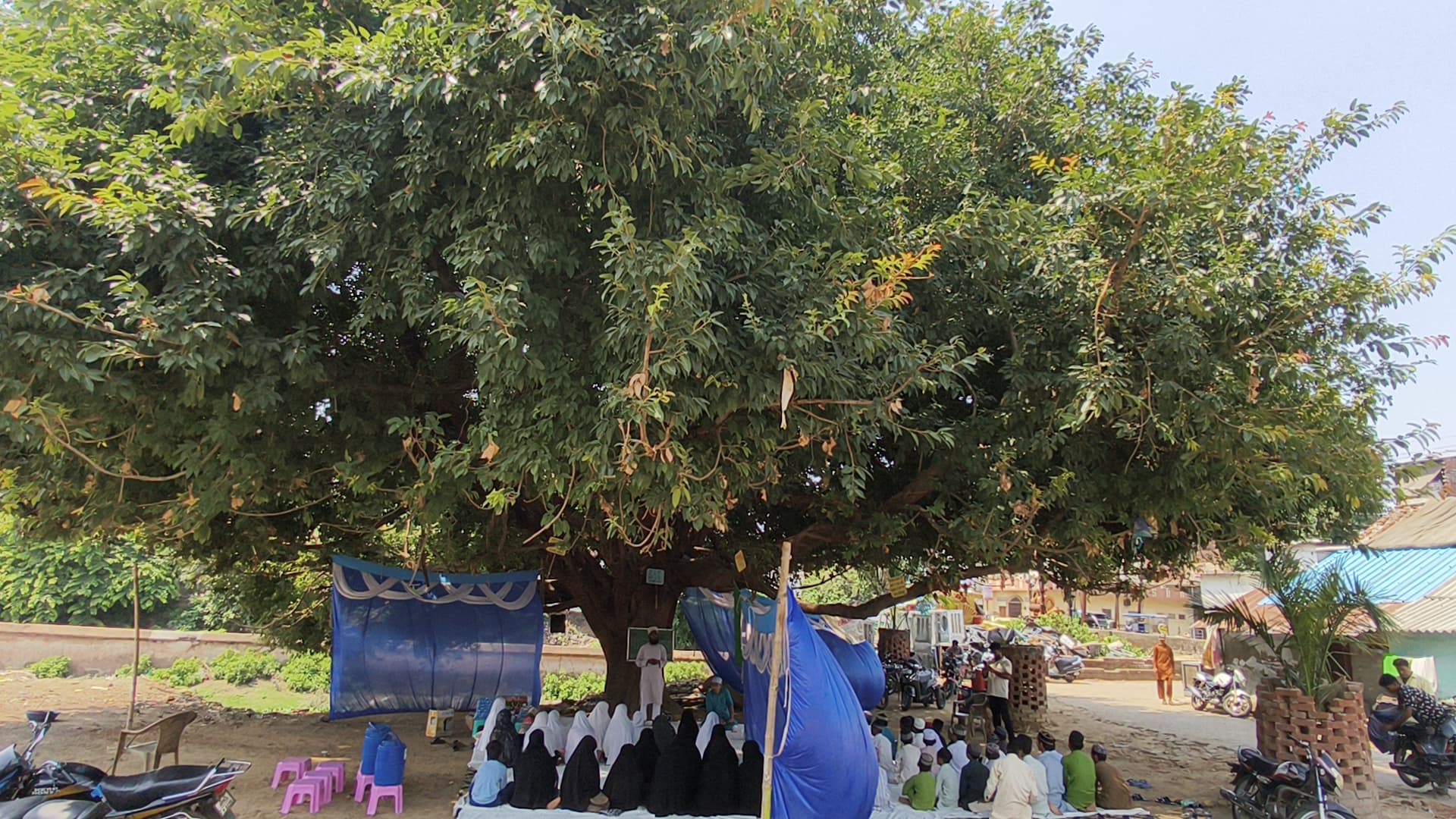 विश्व पर्यावरण दिवस पर चली एक दिन की पाठशाला
