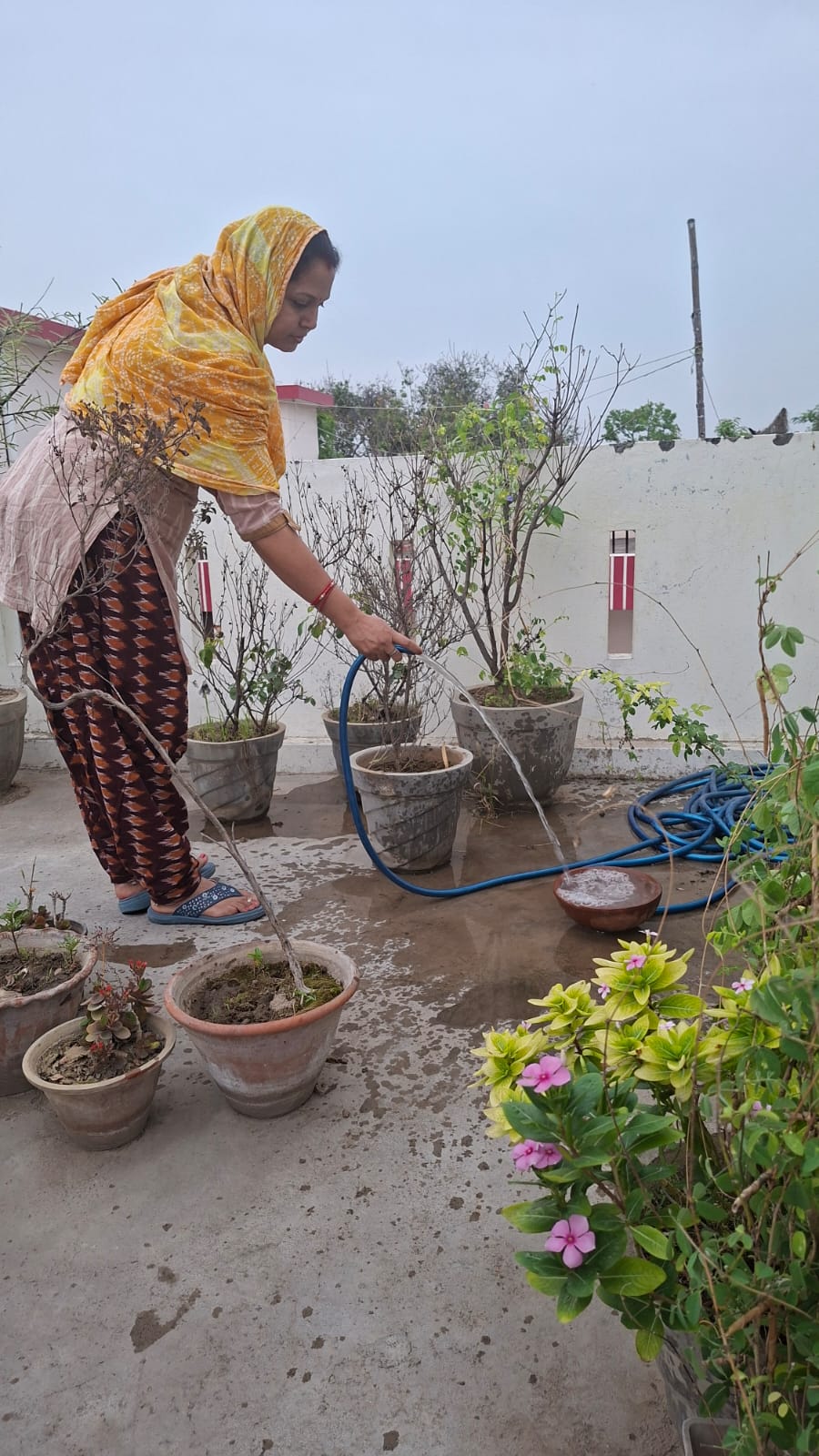 गर्मी में पक्षियों के लिए लाल बहादुर शास्त्री सेवा समिति ने साफ पानी रखने हेतु जागरूकता अभियान चलाया।