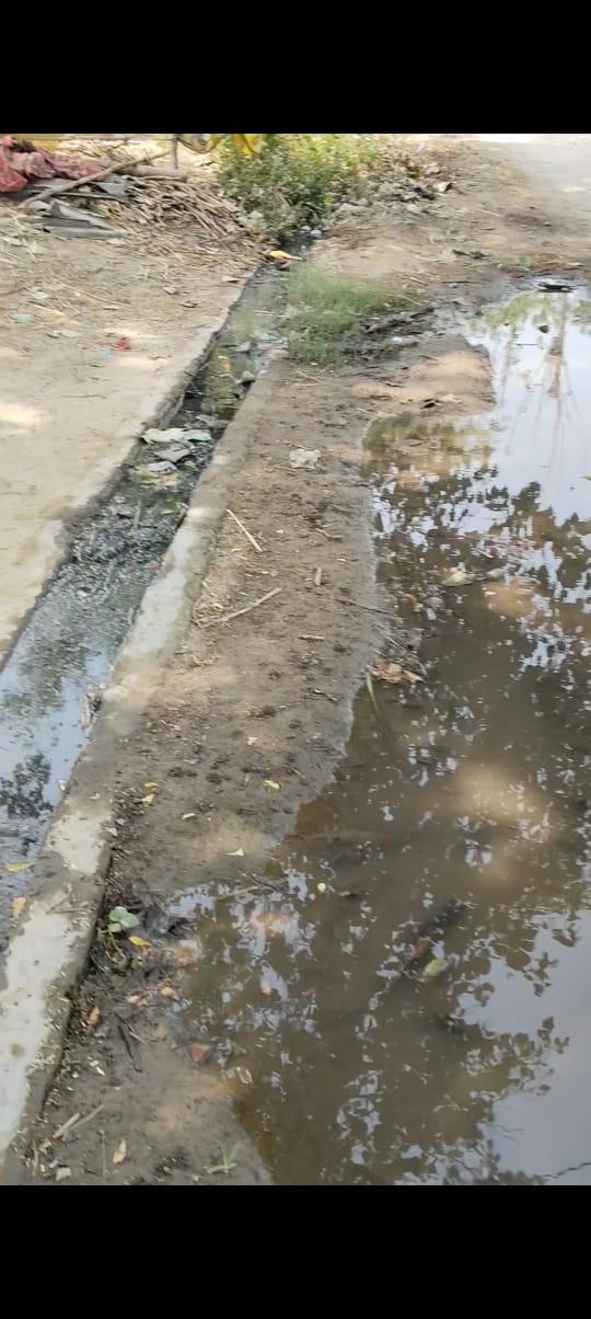 ग्राम पंचायत गोठा रसूलपुर में नाली की समस्या विकराल