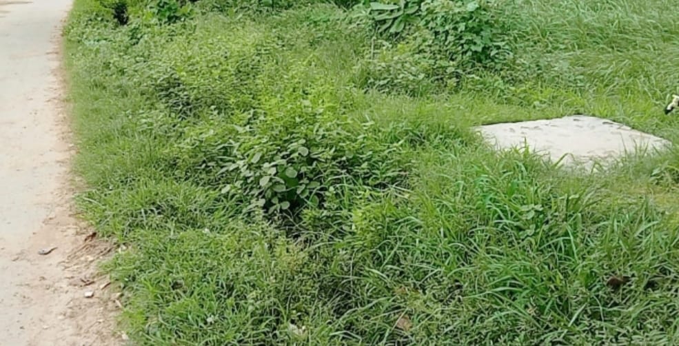 करछना के बसही नारायणपुर में कचरे का अंबार, नालियों में गंदगी दुर्गन्ध से ग्रामीणों का जीना मुहाल