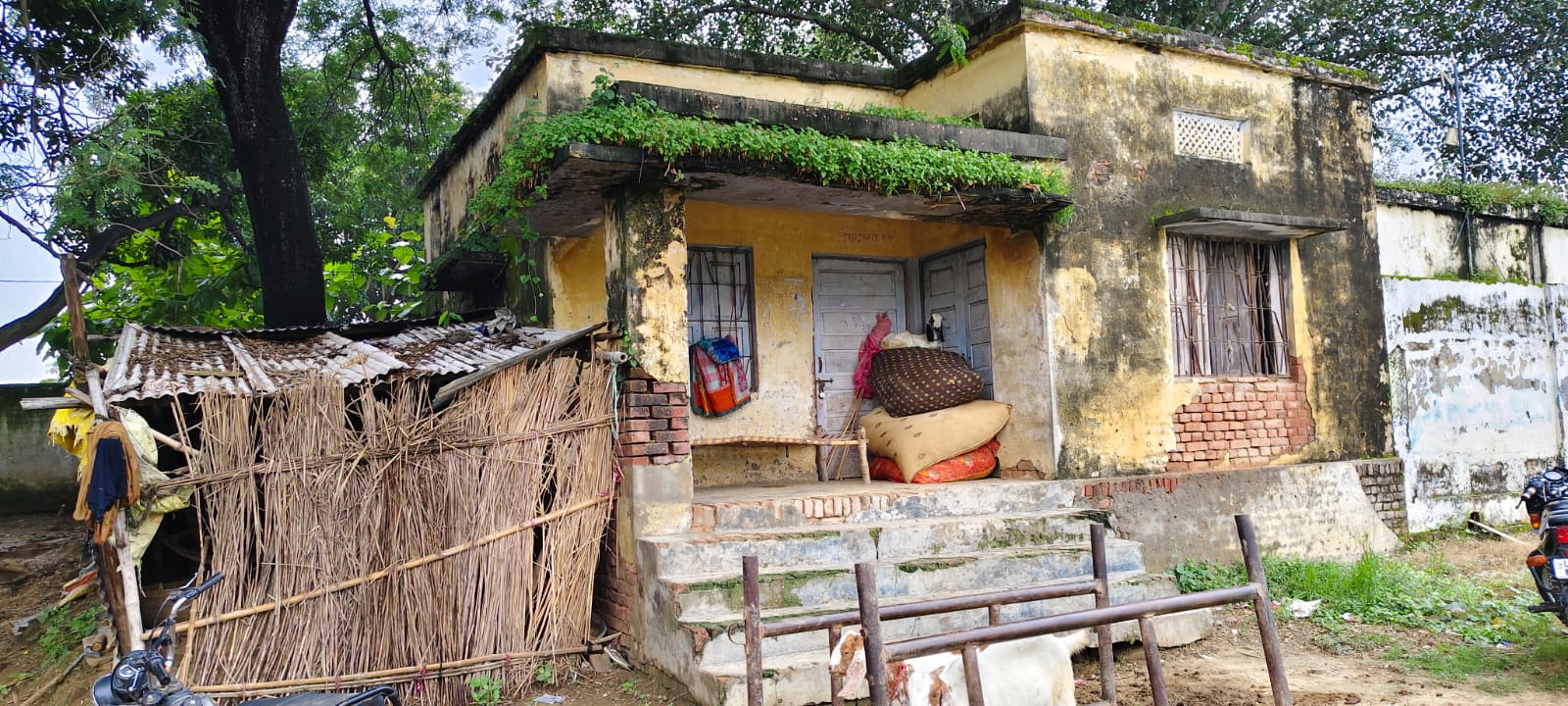 गाज़ीपुर पशु सेवा केंद्र कटैला के डॉक्टर साहब कई महीनो से नहीं आते हैं केंद्र पर